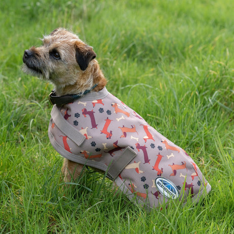 Weatherbeeta Comfitec Essential Dog Coat #colour_dachshund-print