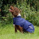 Weatherbeeta Comfitec Deluxe Diamond Quilt Dog Coat #colour_navy