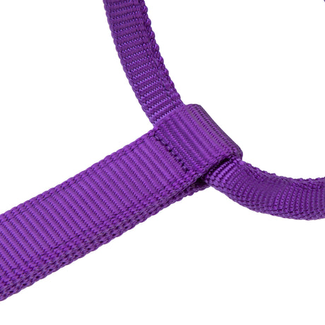 Shires ARMA Premium Adjustable Headcollar #colour_purple