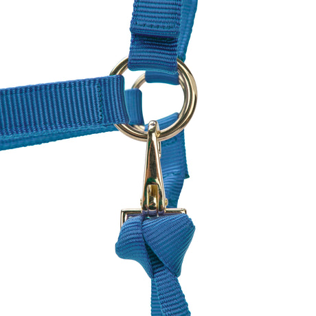 Shires ARMA Premium Adjustable Headcollar #colour_royal