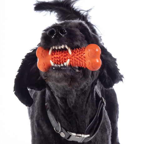 HKM Natural Rubber Dog Toy -Buddy Bone III- #colour_orange