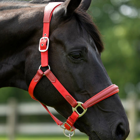 HKM Head Collar -Aruba- #colour_red