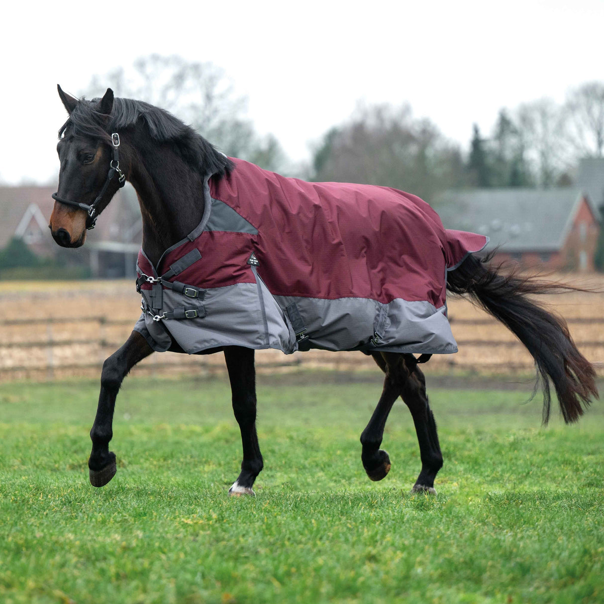 HKM 600D Light High Neck Turnout Rug -Yukon-