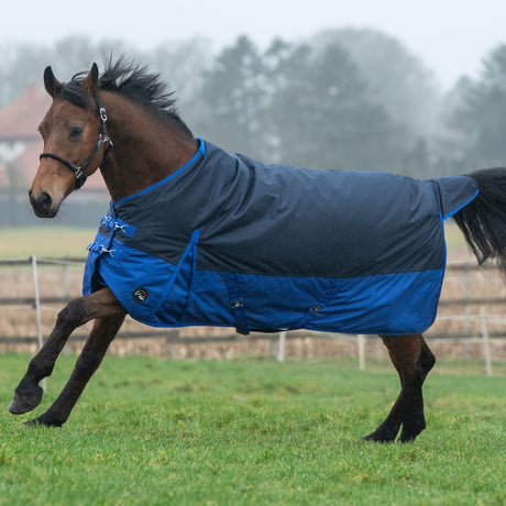 HKM 600D Light Turnout Rug -Chester- #colour_navy-blue