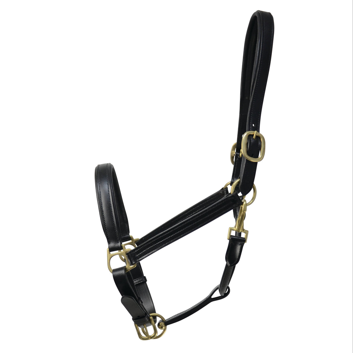 Coldstream Leather Padded Headcollar Brown