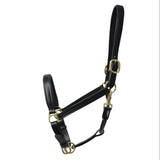 Coldstream Leather Padded Headcollar Brown