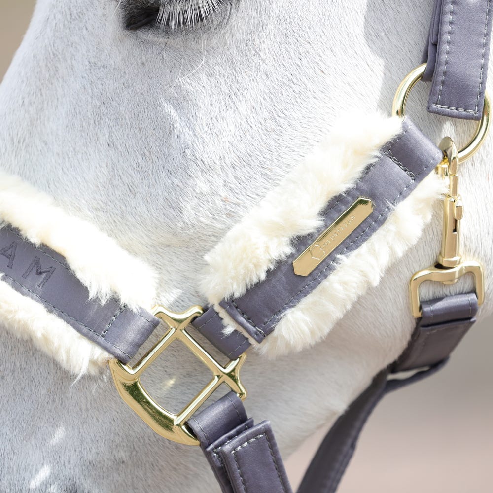 Coldstream Langlee Luxury Head Collar & Lead Rope #colour_grey