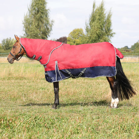 StormX Empra 200g Turnout Rug with Detachable Neck #colour_burgundy