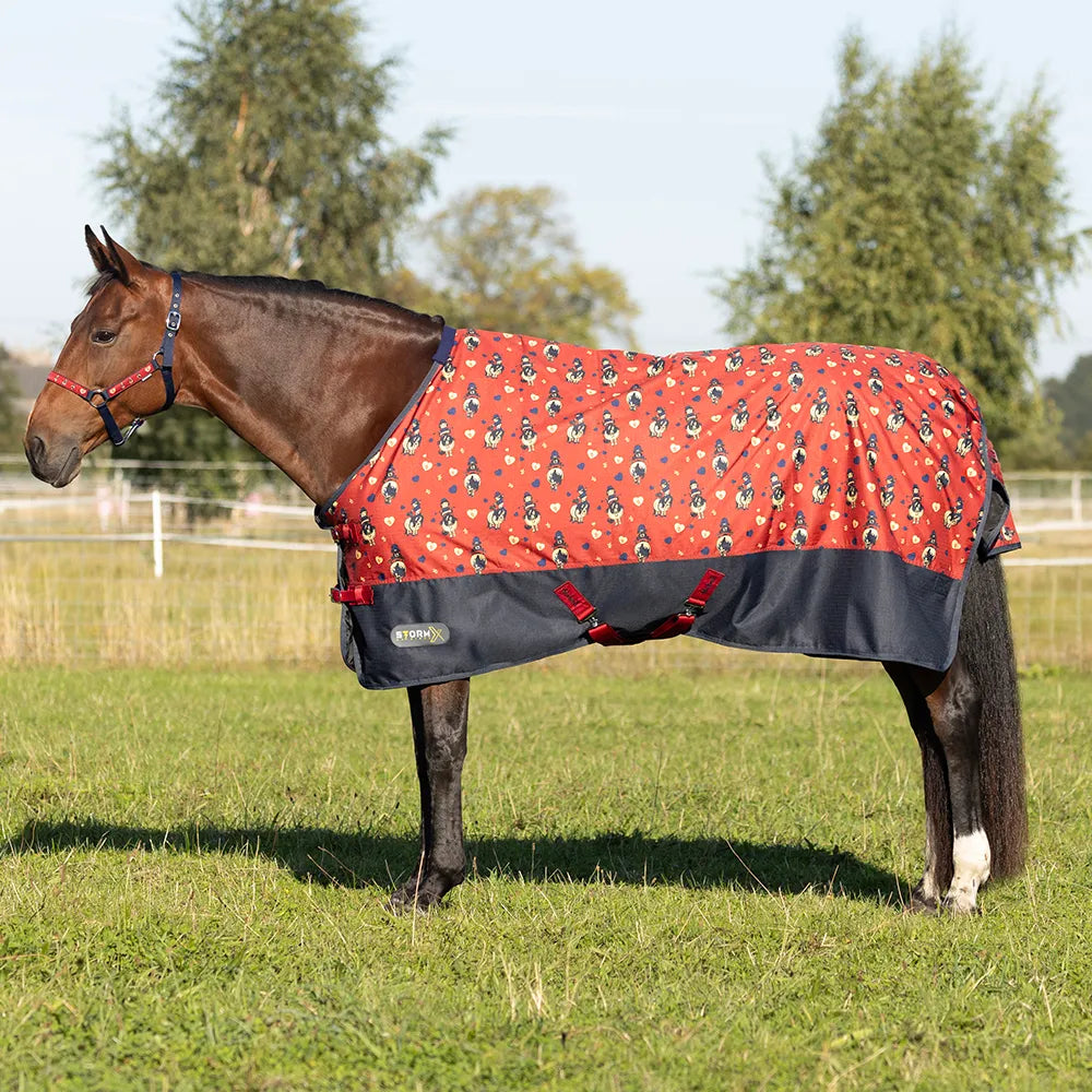 StormX Original 50g Turnout Rug - Thelwell Collection Balancing Act