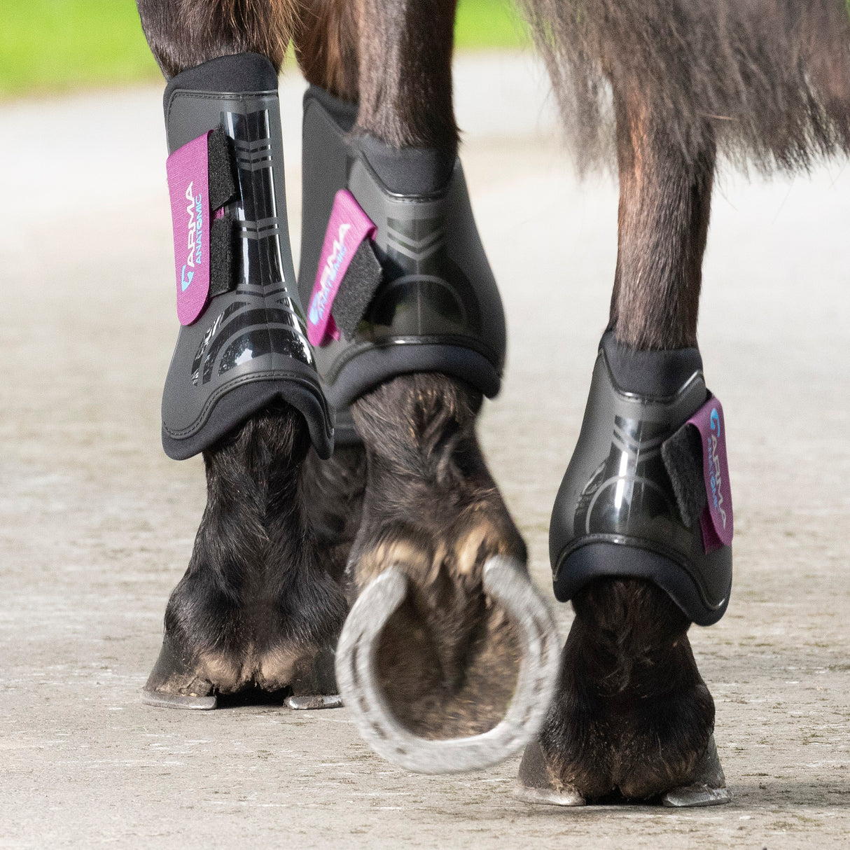 Shires ARMA Tendon Boots #colour_black-plum