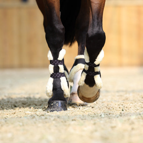 Shires ARMA Carbon SupaFleece Tendon Boots #colour_black