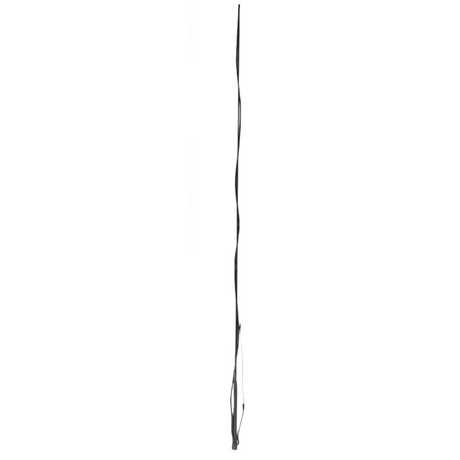 Dublin Lunge Whip #colour_black