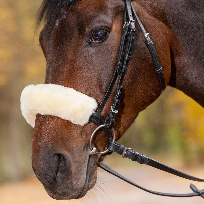 Waldhausen Real Lambskin Noseband - or Headpiece-Cushioning #colour_beige