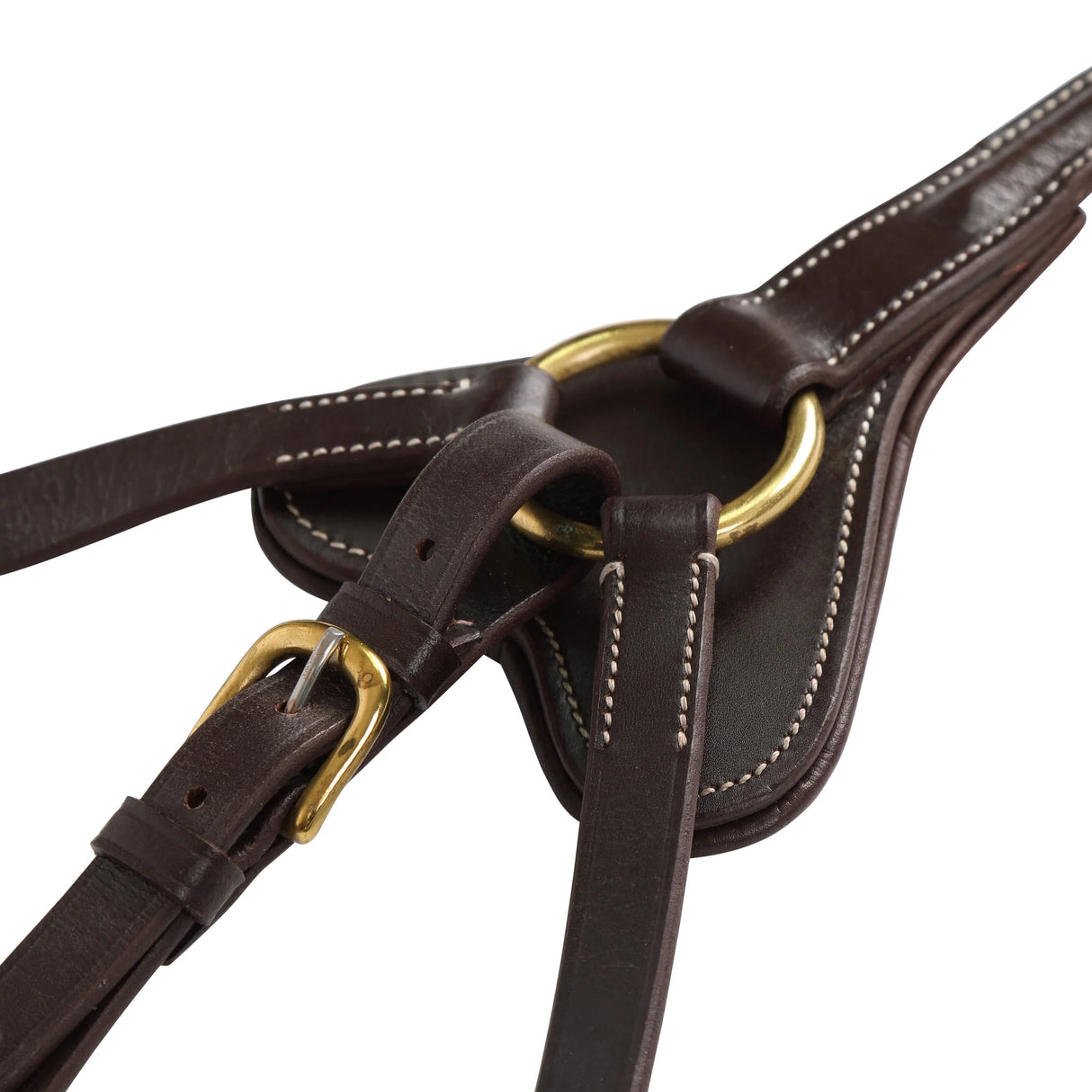 #colour_australian-nut