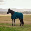 Weatherbeeta Comfitec Classic 50G Turnout #colour_forest-green-black