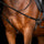 Imperial Riding Triangle Rein Core #colour_black