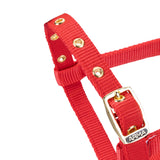 Shires ARMA Foal Headcollar