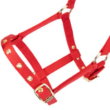 Shires ARMA Foal Headcollar