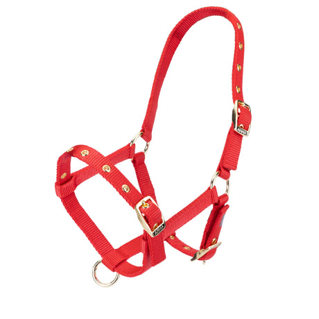 Licol en nylon pour poulain Shires