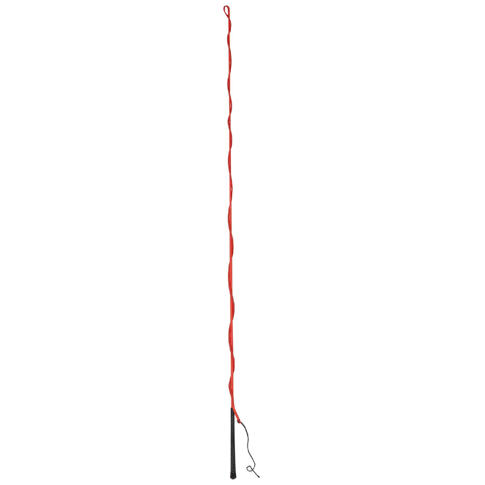 Dublin Lunge Whip #colour_red