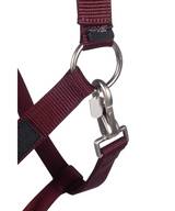 HKM Head Collar -Livigno- #colour_bordeaux