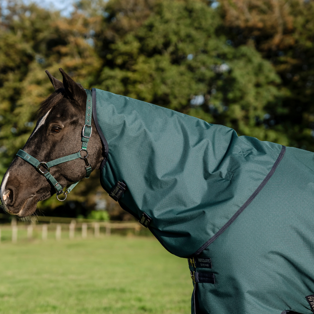 Horseware Ireland Amigo Ripstop 900D Plus 0g Pony Turnout Rug #colour_dynasty-green-navy-silver