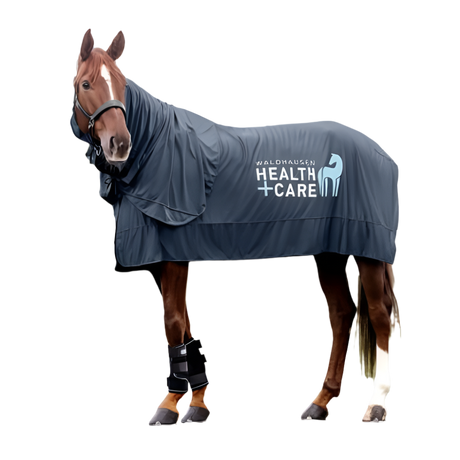 Waldhausen Health & Care Ice Layer Neck Part #colour_night-blue