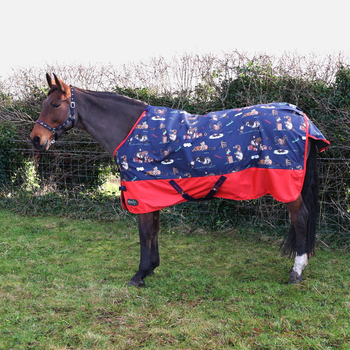 StormX Original 0g Thelwell Collection Practice Makes Perfect Turnout Rug