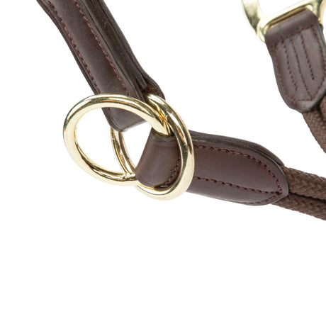 Shires Velociti Lusso Soria Leather Headcollar #colour_havana