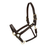 Shires Velociti Lusso Girona Leather Headcollar #colour_havana