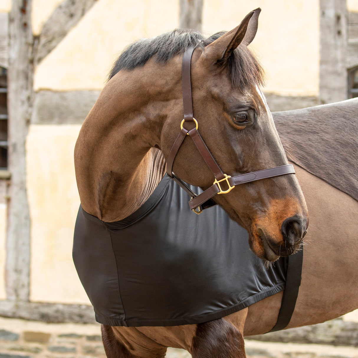 Shires Anti-Rub-Stretchweste