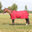 HyCONIC 200g Turnout Rug #colour_red