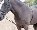 Weiche Ausfallhilfe von Shires