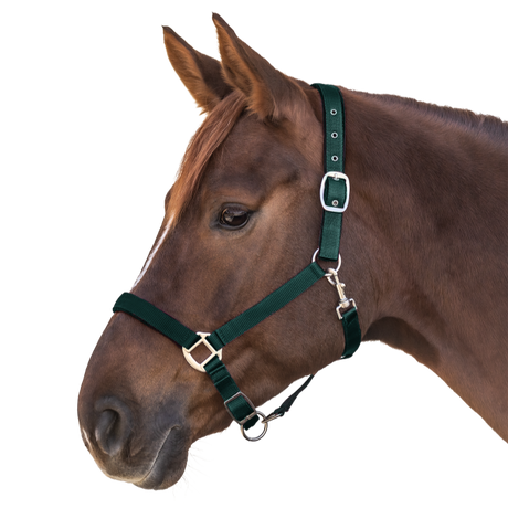 Waldhausen Satin Perlon Halter #colour_fir-green