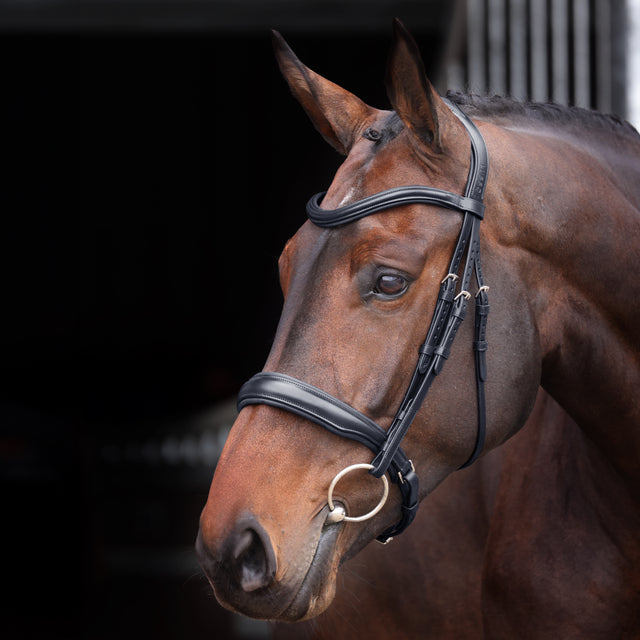 Shires Velociti Lusso Elite Padded Cavesson Bridle #colour_black