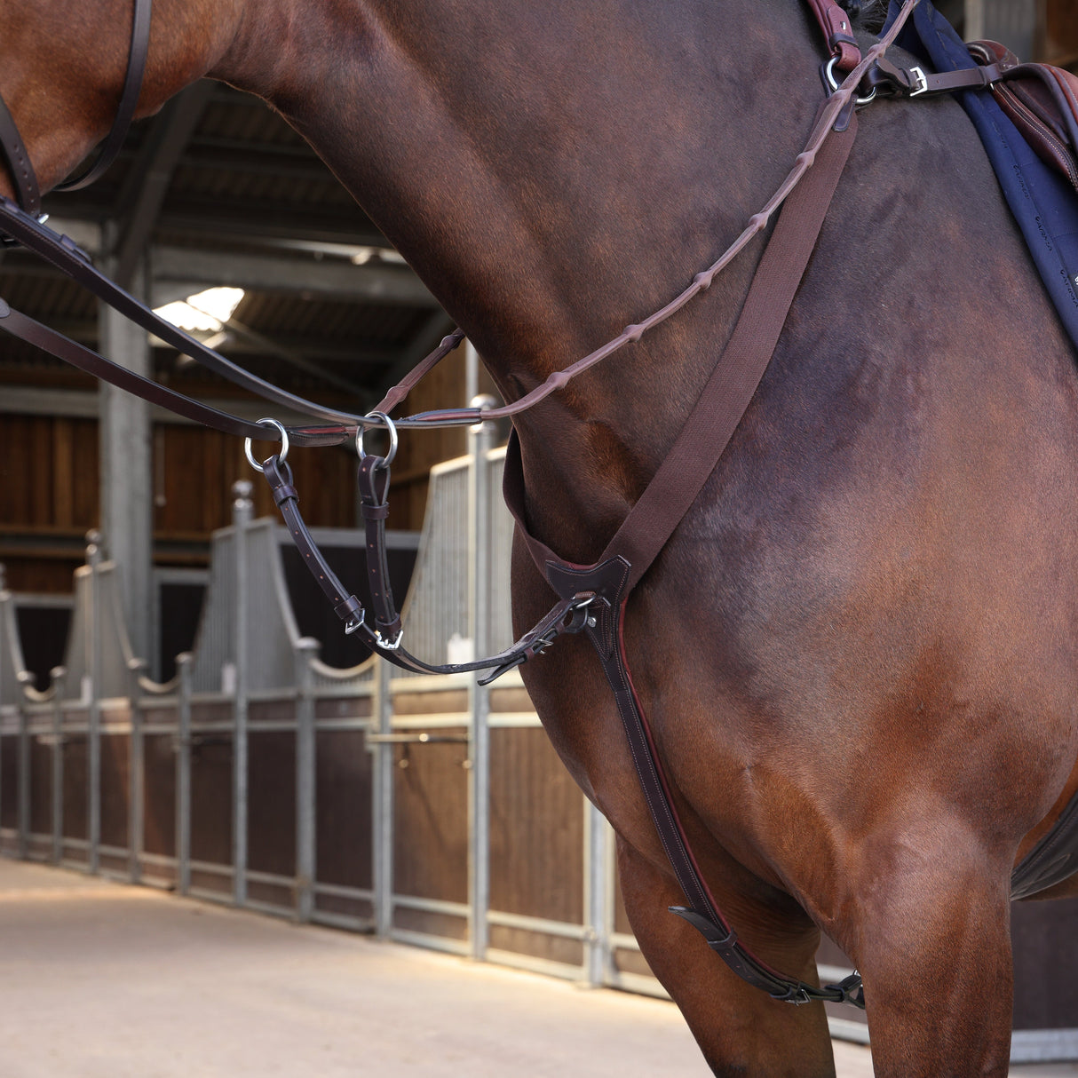 Shires Velociti LUSSO Elite Elastic Breastplate