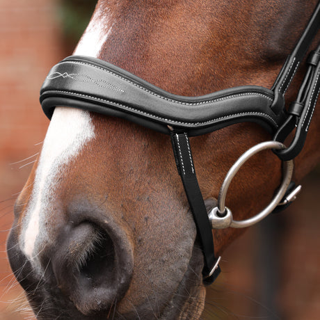 Shires Velociti LUSSO Opus 180M Ergonomic Flash Bridle #colour_black
