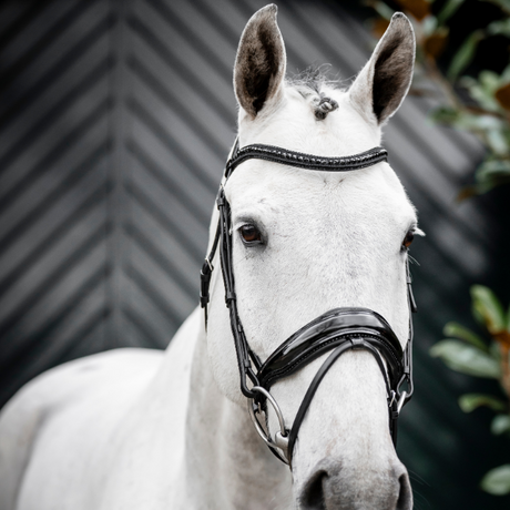 Horseware Ireland Diamante Flash Bridle #colour_black-black