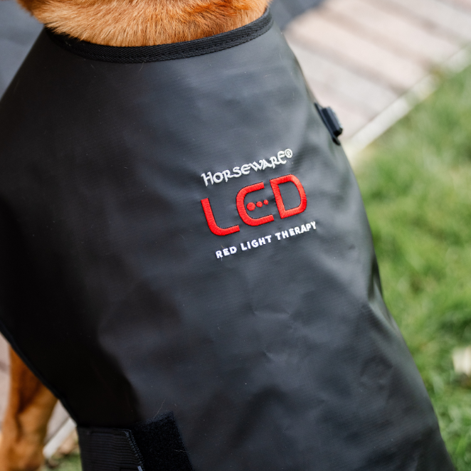 Horseware Ireland LED Red Light Therapy Pet Coat #colour_black-black