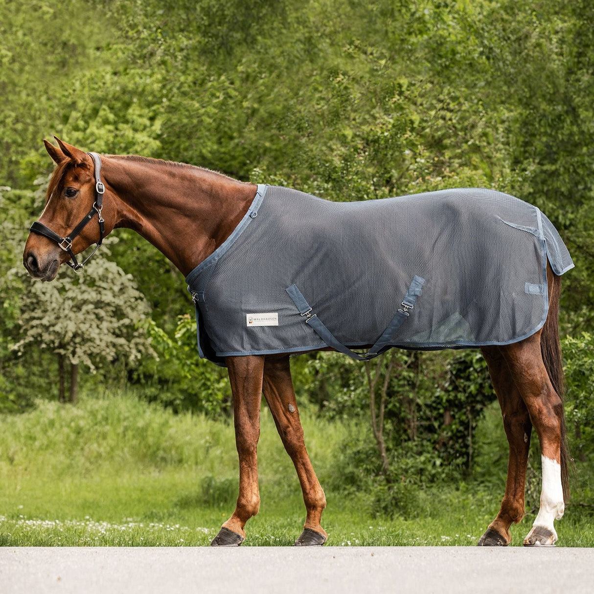 Waldhausen Comfort Fly Rug with Crossover Straps #colour_chalkblue