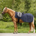 Waldhausen Comfort Fly-Exercise Sheet #colour_night-blue