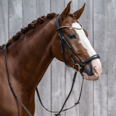 HKM Bridle -Nicole- #colour_black