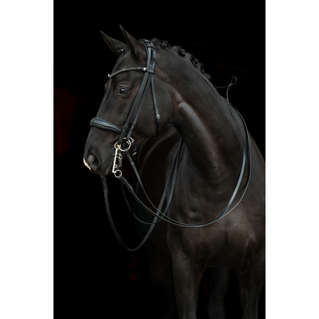 HKM Double Bridle -Grace- #colour_black