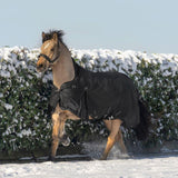 Waldhausen Scandic High Neck 100g Turnout Rug #colour_black