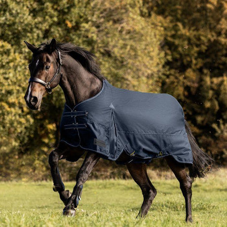 Waldhausen Arctic Light Turnout Rug #colour_night-blue