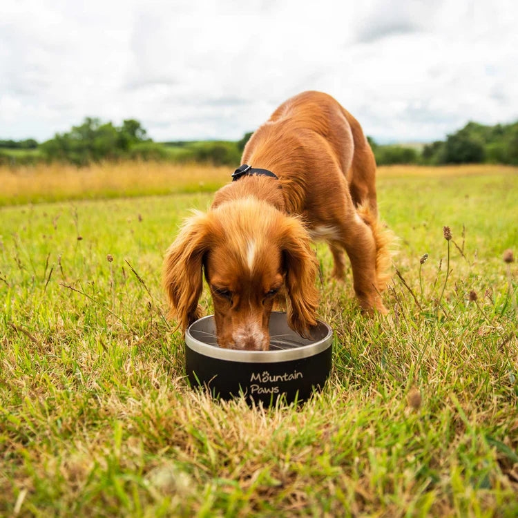 Mountain Paws Basecamp Dog Bowl