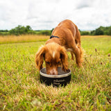 Mountain Paws Basecamp Dog Bowl