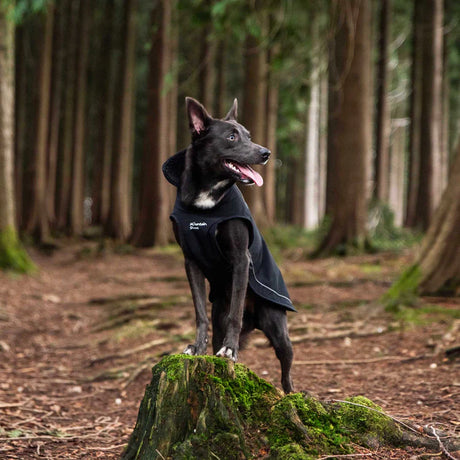 Mountain Paws Fleece Lined Dog Raincoat #colour_black