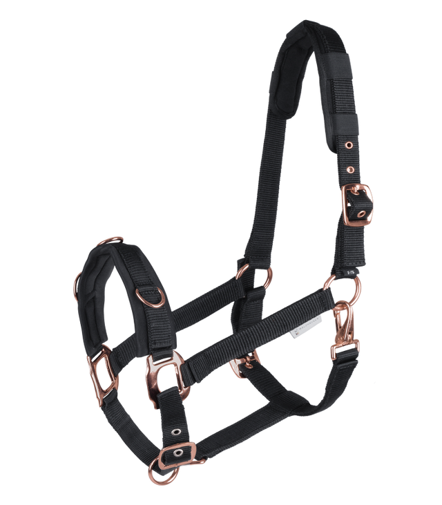 Waldhausen Rosé Lunging Halter #colour_black