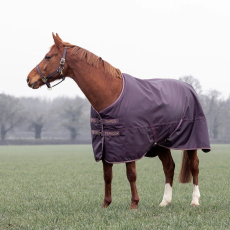 Shires Typhoon 100g Turnout Rug #colour_black-cherry